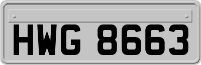 HWG8663