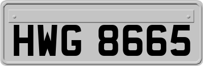 HWG8665