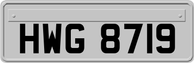 HWG8719