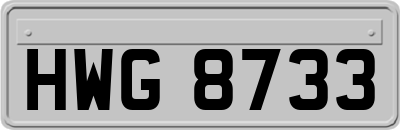HWG8733