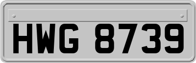 HWG8739