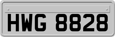 HWG8828