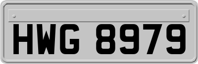 HWG8979