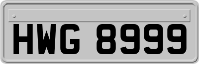 HWG8999