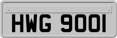 HWG9001