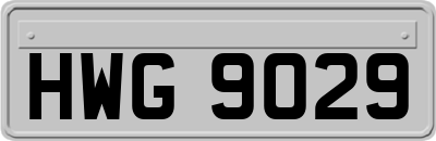 HWG9029