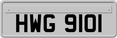 HWG9101