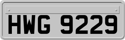 HWG9229