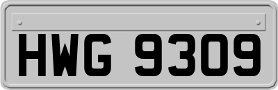 HWG9309