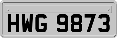 HWG9873