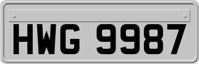 HWG9987