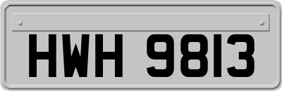 HWH9813
