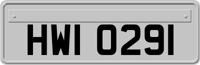 HWI0291