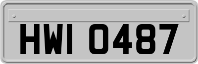 HWI0487