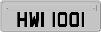 HWI1001