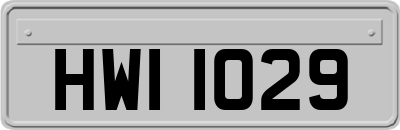 HWI1029