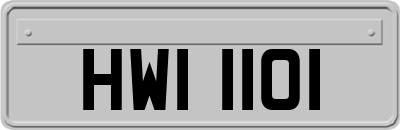 HWI1101