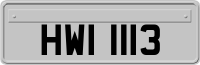 HWI1113