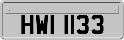 HWI1133