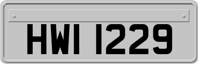HWI1229