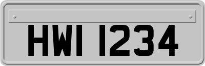 HWI1234