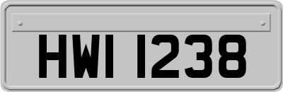 HWI1238