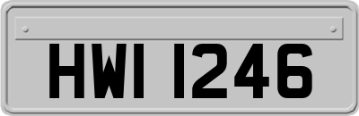 HWI1246
