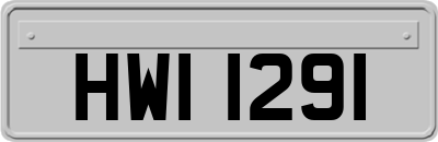 HWI1291
