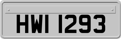 HWI1293
