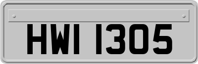 HWI1305