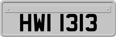 HWI1313