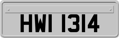 HWI1314