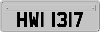 HWI1317