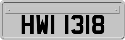 HWI1318