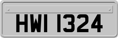 HWI1324