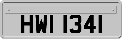 HWI1341