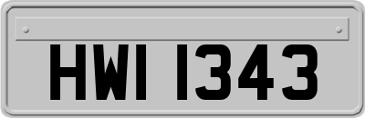 HWI1343