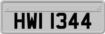 HWI1344