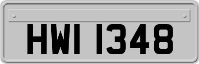 HWI1348
