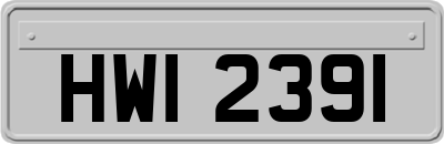 HWI2391
