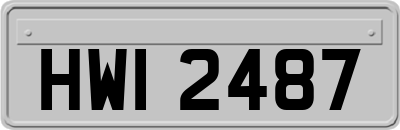 HWI2487