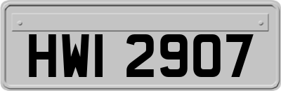HWI2907