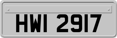 HWI2917