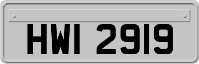 HWI2919