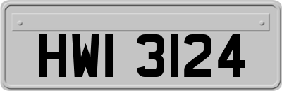 HWI3124