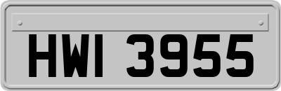 HWI3955
