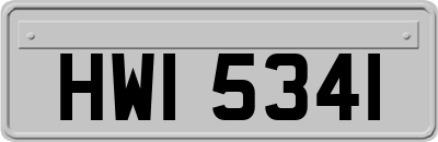 HWI5341