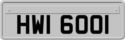 HWI6001