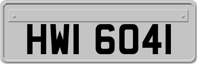 HWI6041