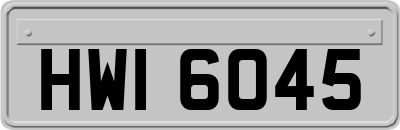 HWI6045